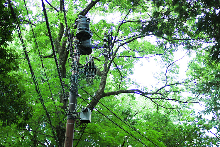 バランスの取れた電力供給