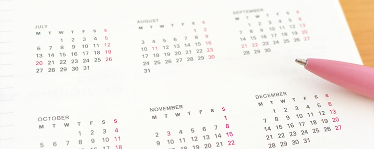 IRカレンダー IR Calendar