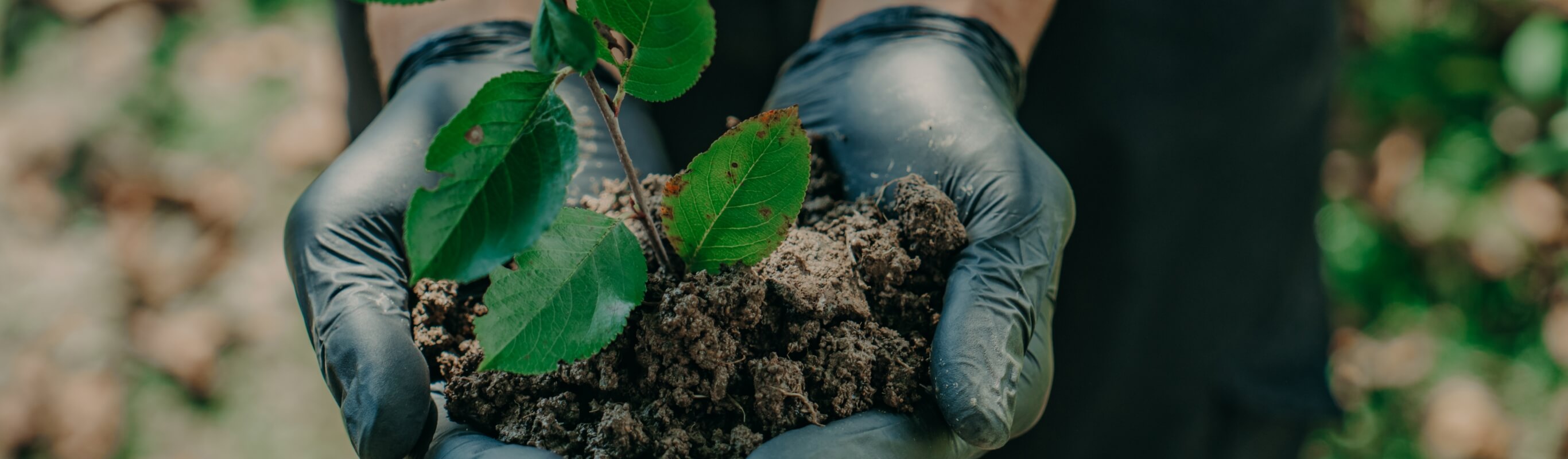 「地域と産業の持続的発展」のための取り組み Sustainable Development